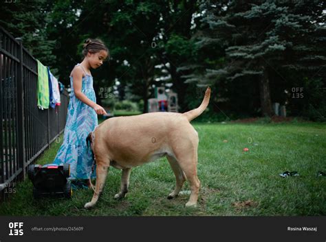 dog humping girl|Dog keeps humping girlfriend : r/caninebehavior